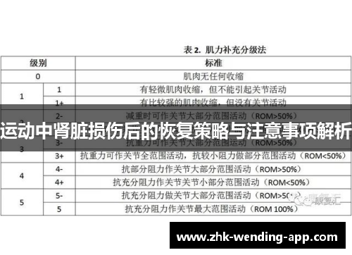 运动中肾脏损伤后的恢复策略与注意事项解析